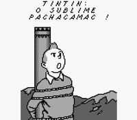 une photo d'Ã©cran de Tintin - Le Temple du Soleil sur Nintendo Game Boy